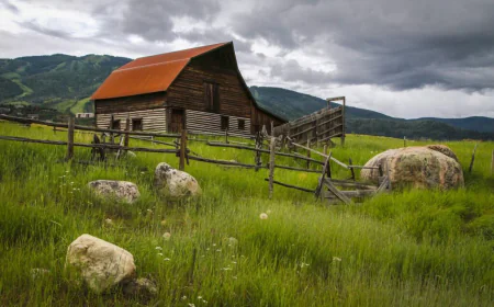 Metal Roof Painting Ontario — A Smart Investment for Durability