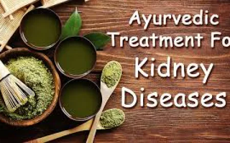 Ayurvedic Treatment for Kidney Failure