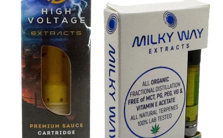 THC Vape Pen: Buzzed or Busted?