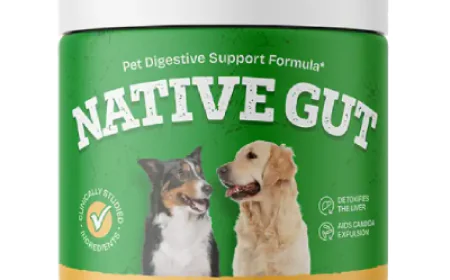 NativeGut: The Smart Choice for Proactive Pet Parents Everywhere