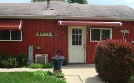 Focus On Keeping Pets Safe, Happy, And Comfortable In Familiar Surroundings