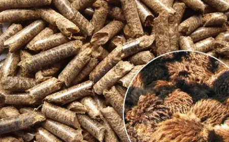 Biomass Pellet Use: A Sustainable Fuel Solution for Modern Industries