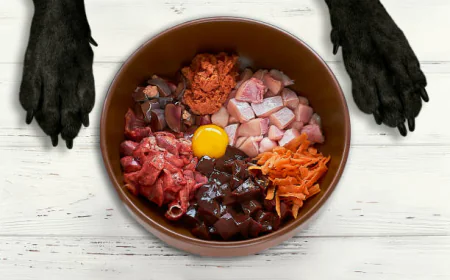Raw Food Dog Delivery: Why Frozen Meals Are Changing Dog Nutrition