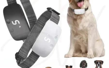 What Types of Stop Barking Devices Are Available?