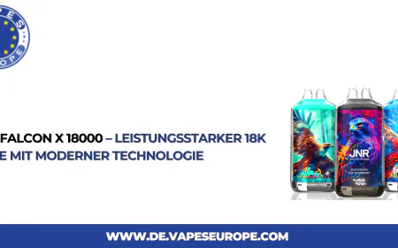 JNR Falcon X 18000 – Leistungsstarker 18k Vape mit moderner Technologie