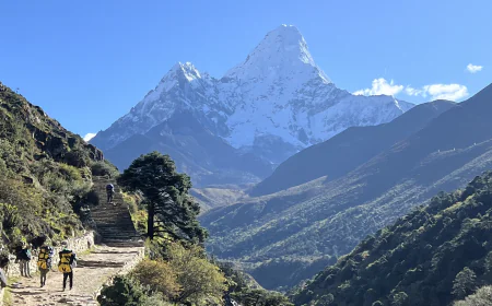 Editor’s Choice: Best Sustainable Swimwear Brands