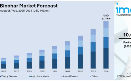India Biochar Market Growth, Share, and Trends Forecast 2026-2034