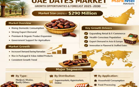 UAE Dates Market: Growth Story, Market Size & Leading Players