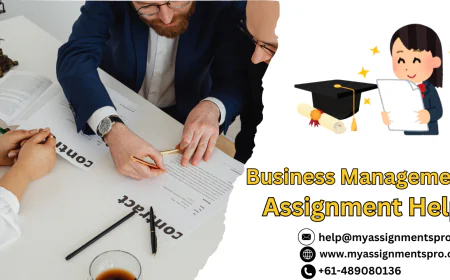 Business Management Assignment Help: Your Complete Guide to Academic Success