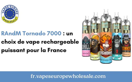 RAndM Tornado 7000 : un choix de vape rechargeable puissant pour la France