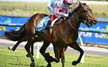 A Complete Guide to Saturday’s Tripod Of Winners Strategy