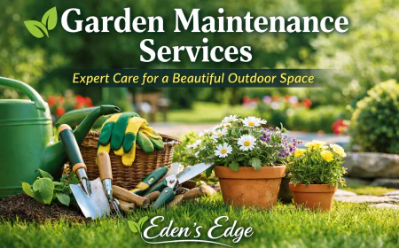 Why Professional Garden Maintenance Services Are Essential for a Healthy Outdoor Space