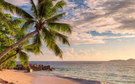 Things to Do on Islands in Goa: Activities, Beaches, Wildlife & More 