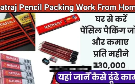 7 Benefits of Online Pencil Packing Jobs for Homemakers