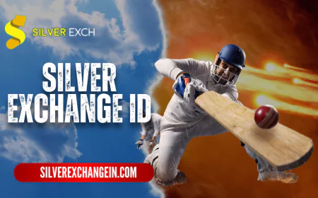 Silver Exchange ID: Playing cricket with your SilverExch ID