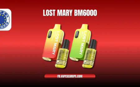 Lost Mary BM6000 : la Puff 6000 puffs qui Séduit les Vapoteurs