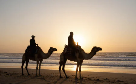 Ultimate Guide to Adventure Travel in Essaouira
