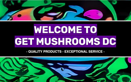 How Regulations Shape the Best Websites to Buy Mushroom Chocolate Bar Market?
