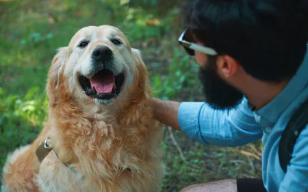 10 Proven Benefits of Animal Assisted Dog Therapy for Mental Health