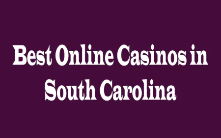 Best Online Casinos in South Carolina: 5 Perspectives on Choosing the Right Platform