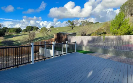 Bringing a Pet? A guest-friendly guide to keeping the furnished rental damage-free