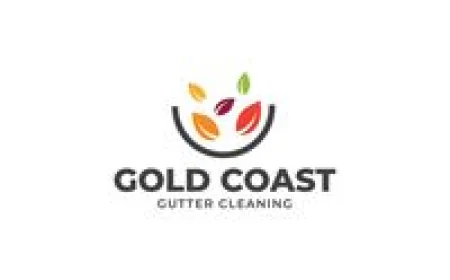 Professional Gutter Cleaning Services for Homes and Businesses