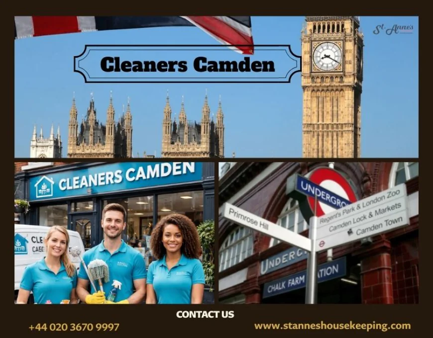 Professional Cleaning Service of Homes in Cleaners Camden