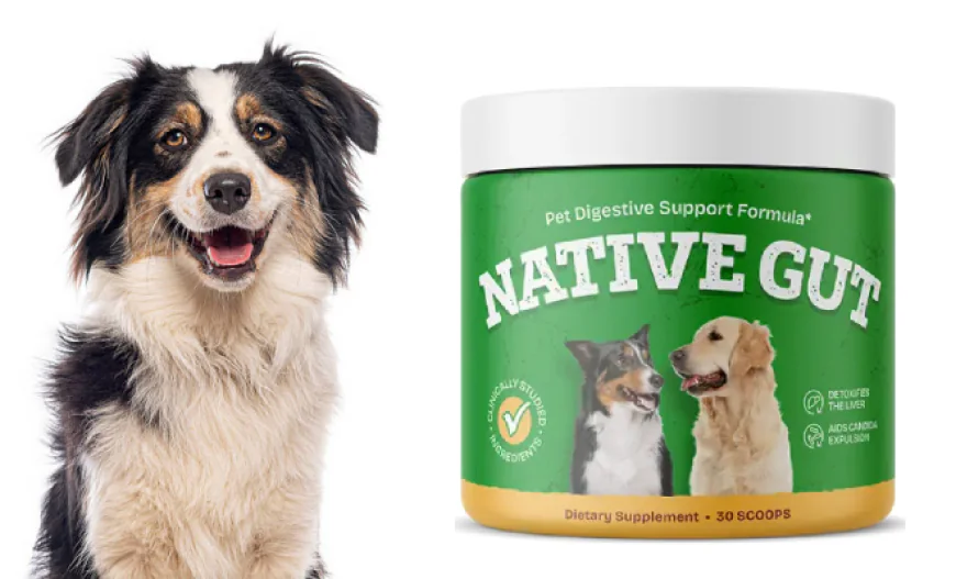 NativeGut CA: The Natural Choice for Sustained Digestive Comfort & Metabolic Health