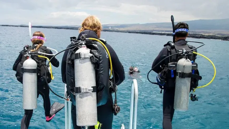 Top Benefits of Enrolling in PADI Professional Courses