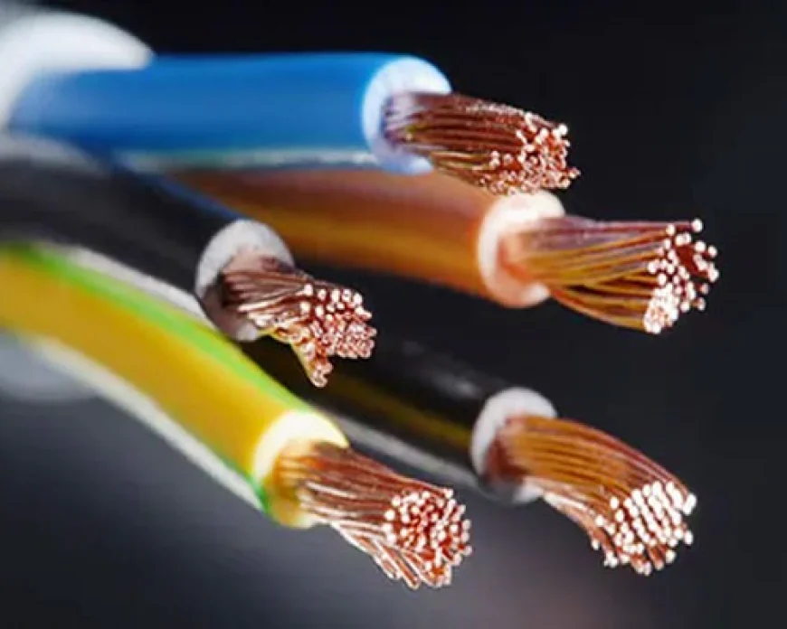 Wire and Cable Manufacturer in Gurgaon | EARTHCAB