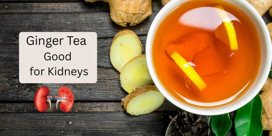 Is Ginger Tea Good for Kidneys