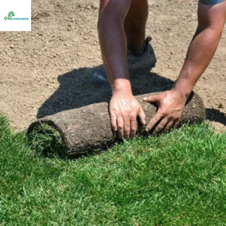 How Do SOD Repair Services in Phoenix Improve Lawn Longevity?