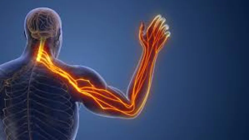 Recovering from Whiplash Associated Disorders in Holly Springs with Restore Spine and Pain