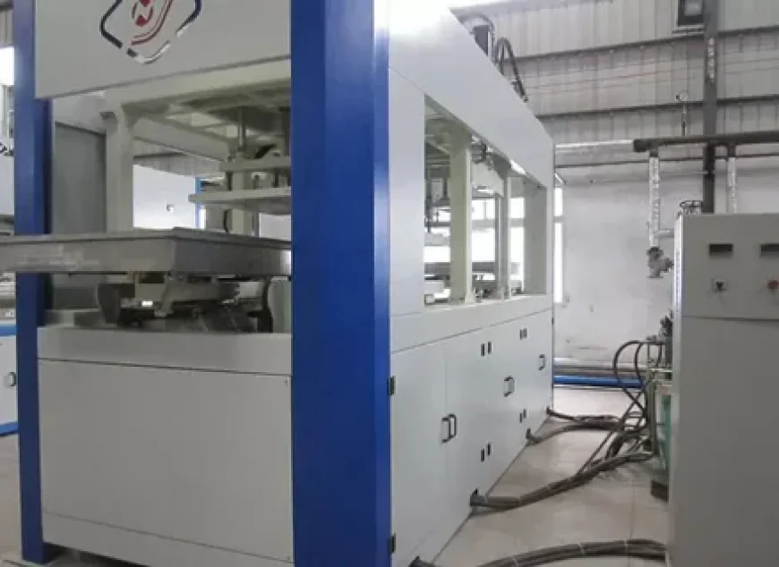 Rotary Thermoforming Pulp Molding Machine for Custom Molded Pulp Packaging