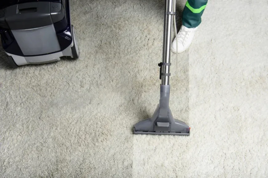 How Carpet Cleaning Services Help Reduce Indoor Dust