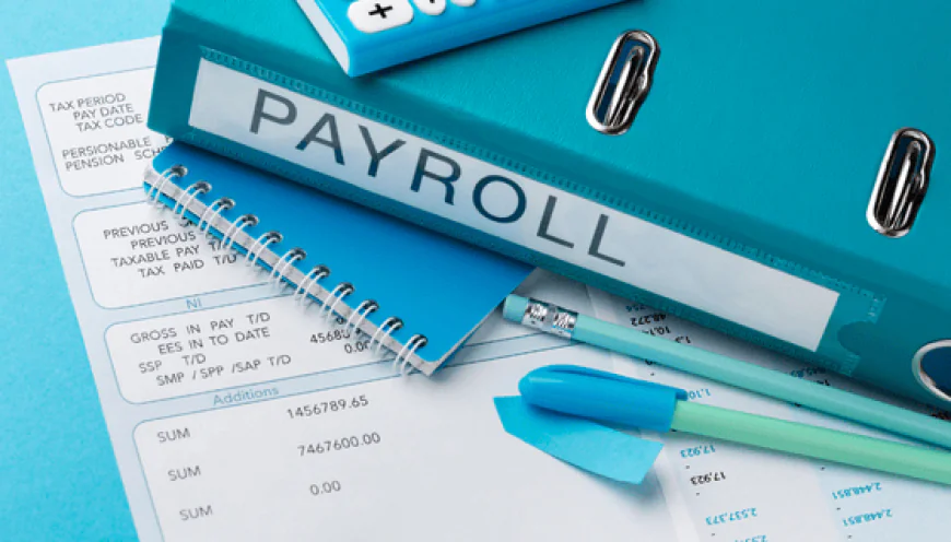 Best Payroll Software in India for 2026