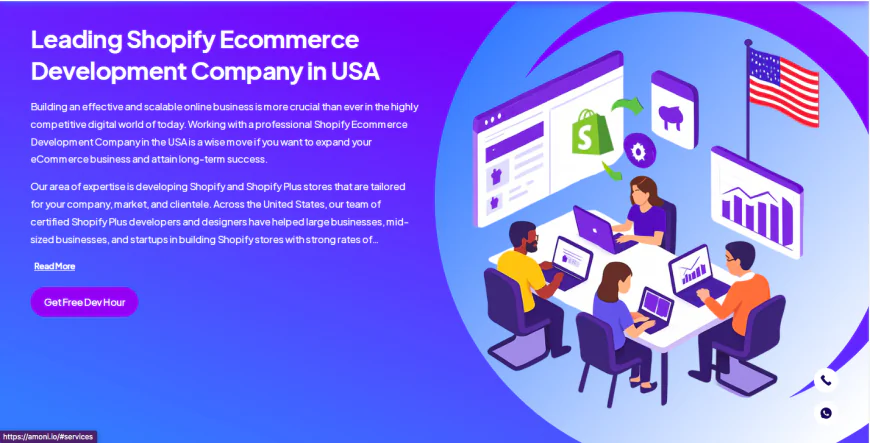 Custom Shopify Development Services in USA | Amoni