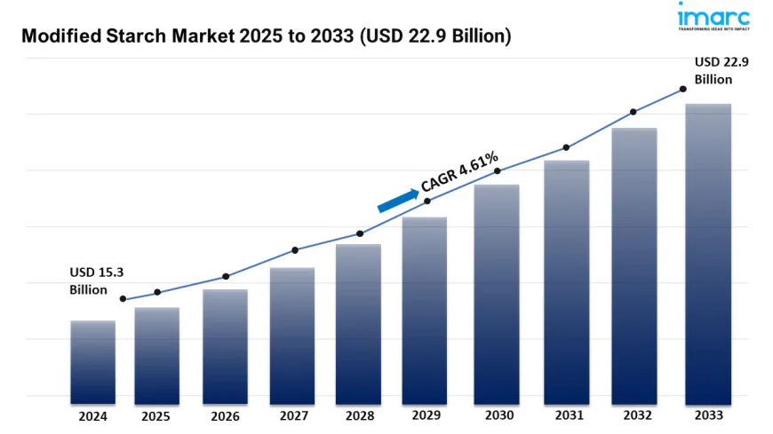 Modified Starch Market Size, Share and Growth Forecast 2026-2034