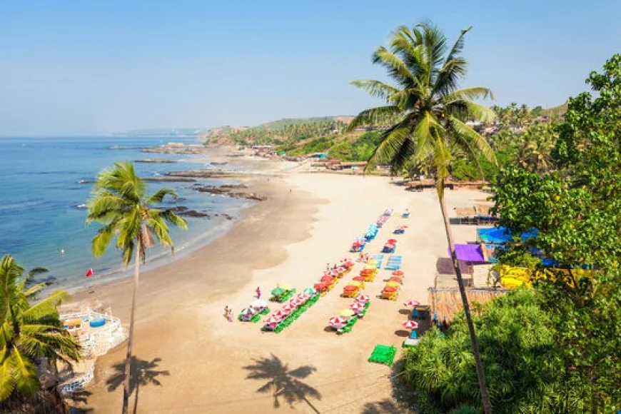 Baga Beach Goa: A Complete Guide to Fun, Sun & Unforgettable Memories