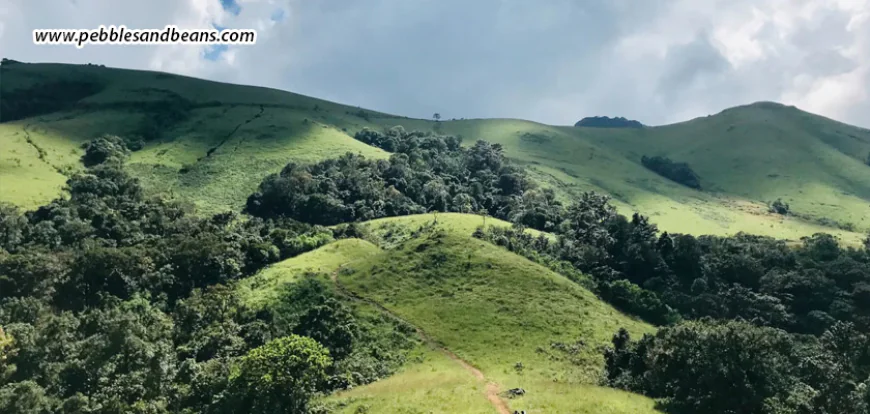 Things to Do in Sakleshpur: Nature, Trekking & a Peaceful Stay at Pebbles & Beans Resort