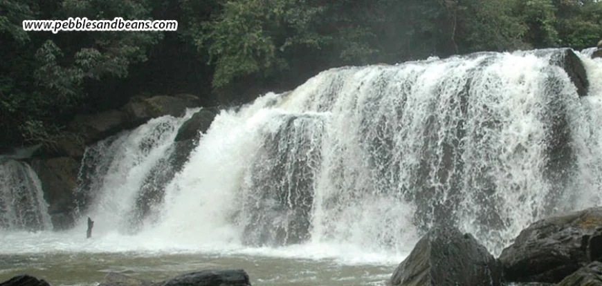 Magajahalli Falls: A Hidden Gem in the Heart of Sakleshpur