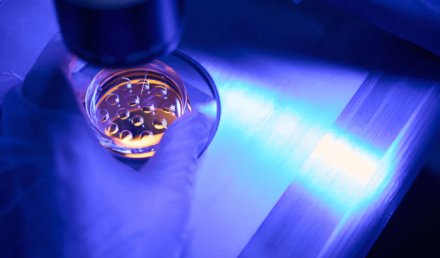 What Is Embryo Biopsy?