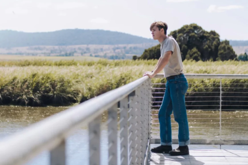 Are Cable Railing Systems Safe For Homes And Commercial Spaces?