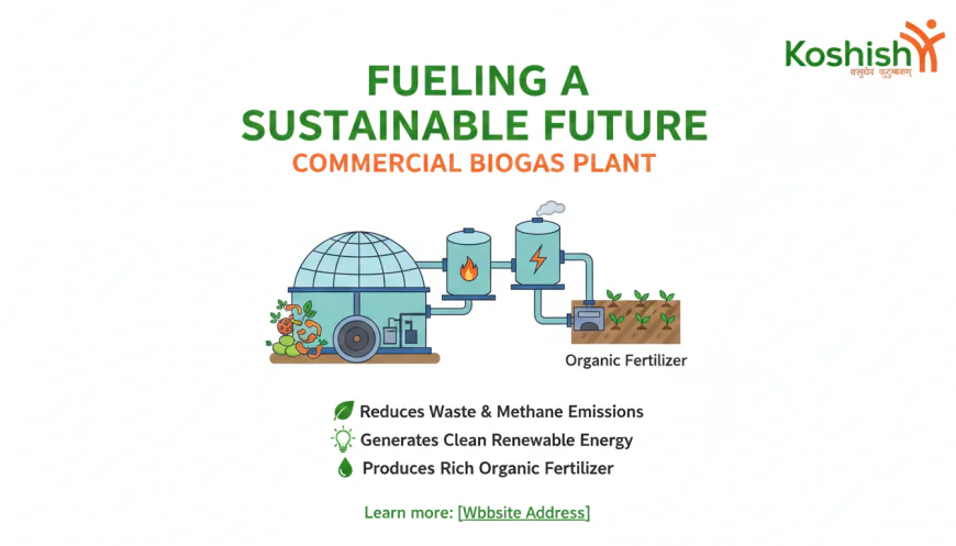 Commercial Biogas Plant in India: Project Cost, Process, Profitability and Government Subsidy