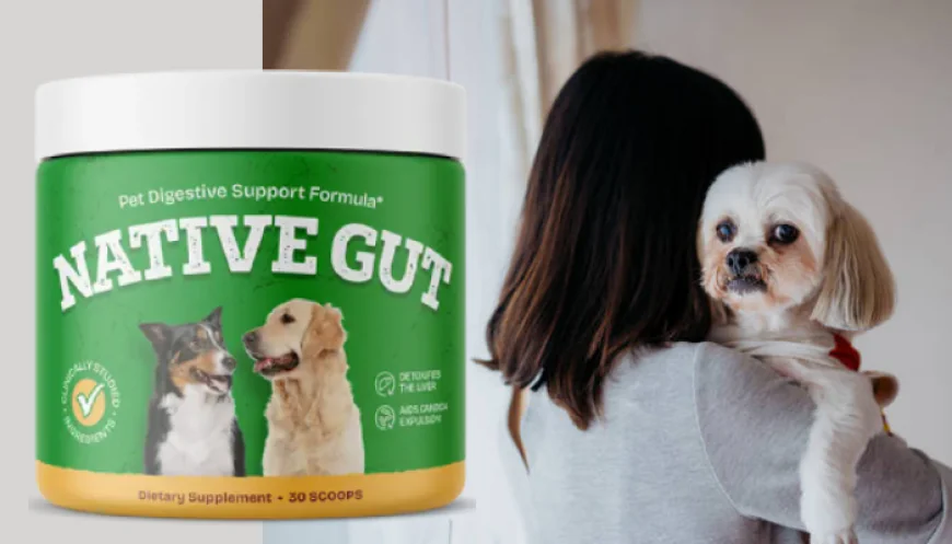 NativeGut Benefits: A Powerful Way to Reduce Dog Digestive Issues