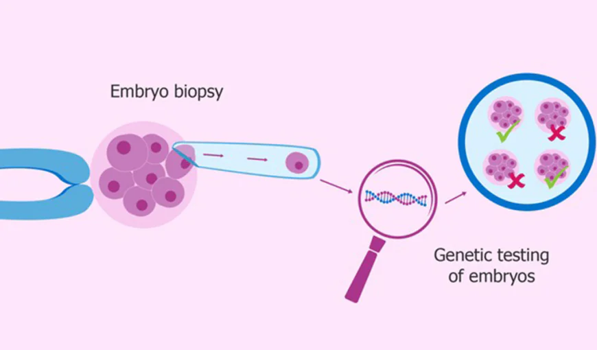 What Is Embryo Biopsy for PGS/PGD Treatment ?