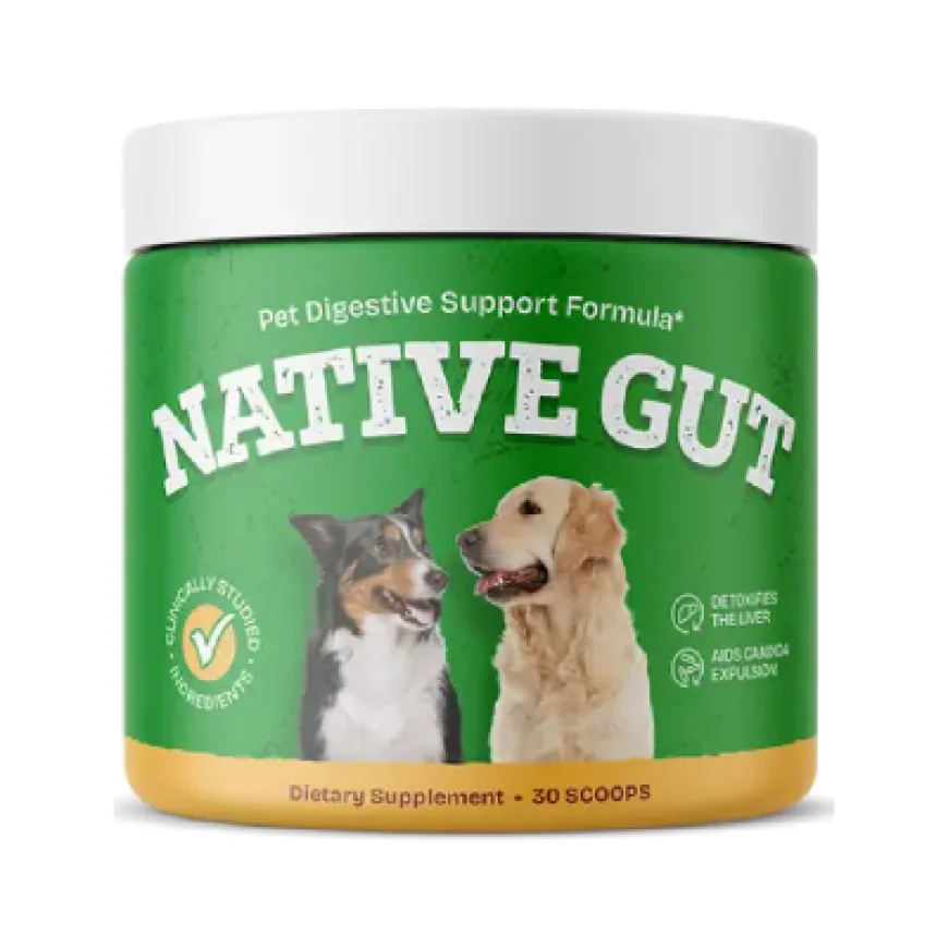 NativeGut Review 2026: Trusted Dog Health Product or Just Hype?