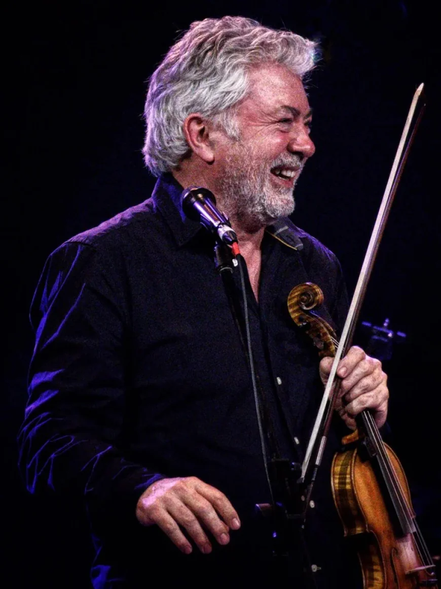 The Irish Fiddle Player: A Cornerstone of Traditional Irish Music