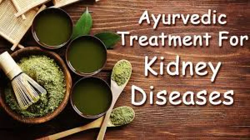 Ayurvedic Treatment for Kidney Failure