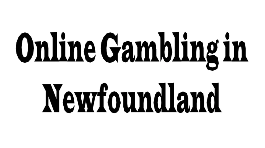 Online Gambling in Newfoundland: Trends, Opportunities, and Challenges
